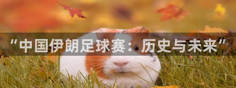 “中国伊朗足球赛：历史与未来”