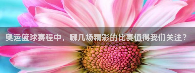 风速体育直播下载手机版安装：奥运篮球赛程中，哪几场精彩的比赛