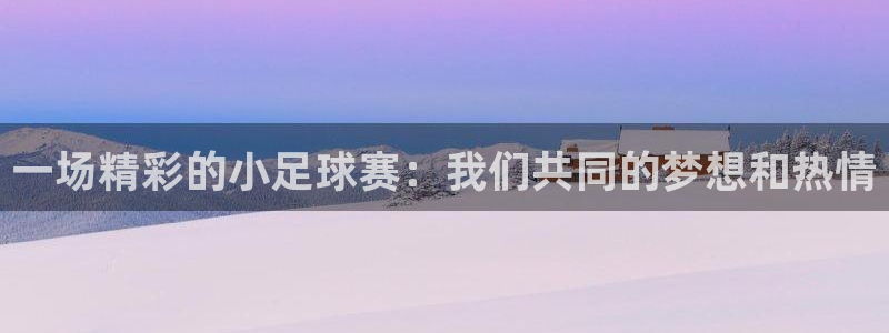 风速体育直播：一场精彩的小足球赛：我们共同的梦想和热情