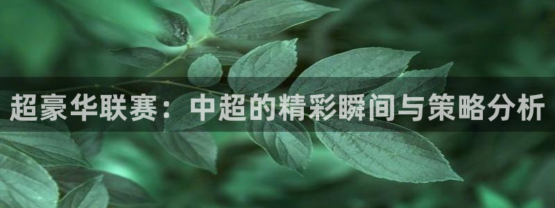 风速体育运动专营店怎么样：超豪华联赛：中超的精彩瞬间与策略分
