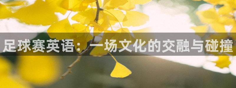 风速体育app下载官网手机版：足球赛英语：一场文化的交融与碰
