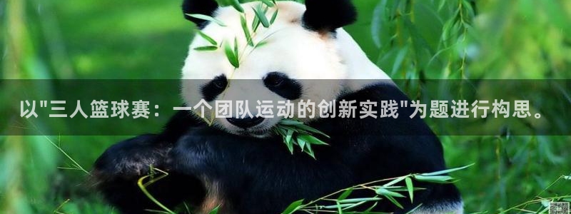 风速体育app官网入口下载安装：以\