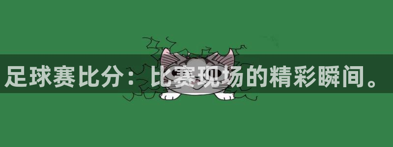 风速体育在线：足球赛比分：比赛现场的精彩瞬间。